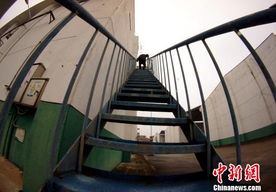 中央儲備糧江西泰和直屬庫有限公司保管員在倉庫巡查。　王昊陽 攝